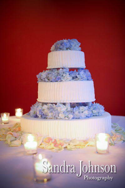 Best New Orleans wedding photographer - Sandra Johnson (SJFoto.com)